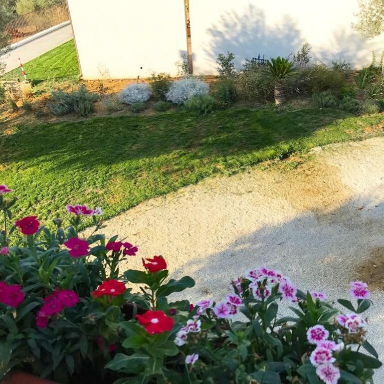 Uliwood Hotel Caltanissetta Buitenkant foto